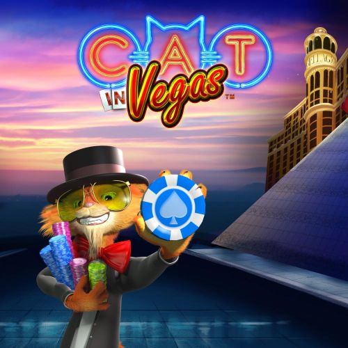 Cat in Vegas Cat in Vegas