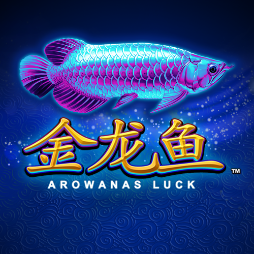 Arowana's Luck 金龙鱼
