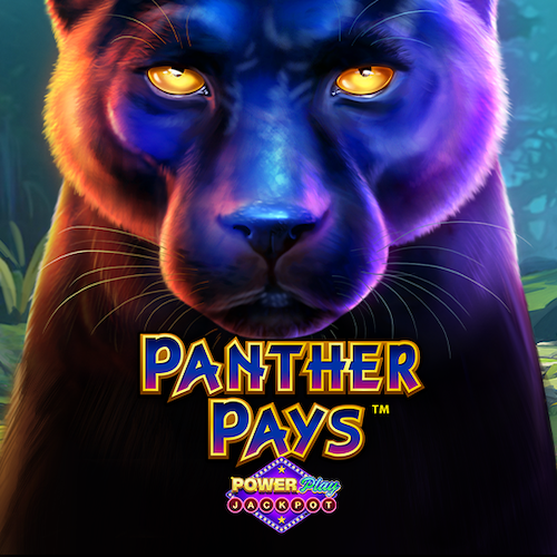 Panther Pays™ PowerPlay Jackpot 发财黑豹™ 强力累积奖金