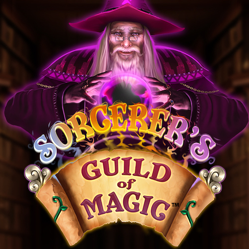 Sorcerer's Guild of Magic 魔法师的魔法公会™