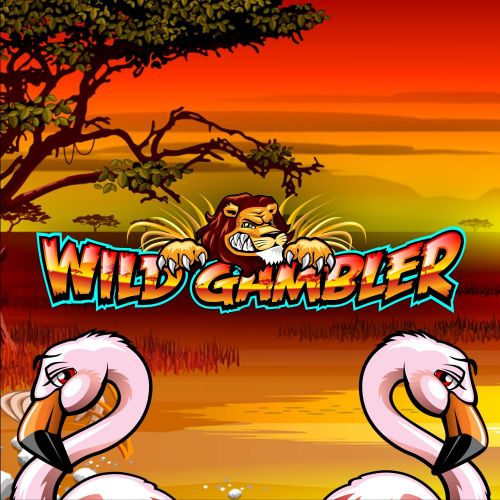 Wild Gambler 野生动物大世界