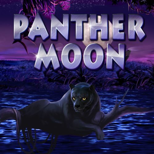 Panther Moon 月亮下的黑豹