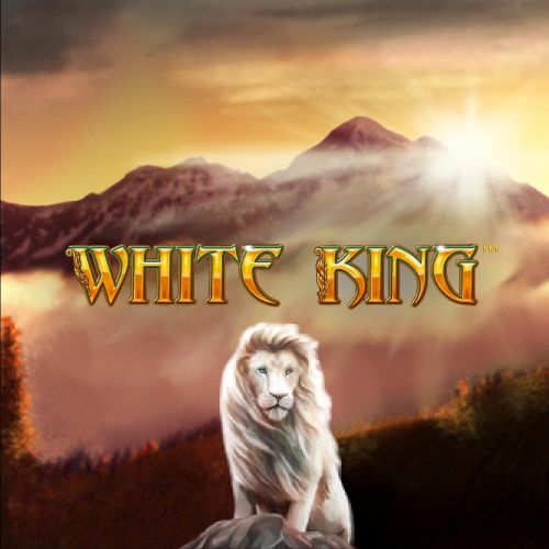 White King 白狮王